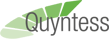 Logo_Quyntess