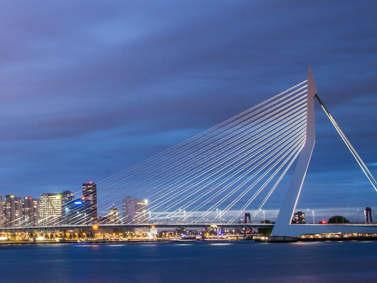 Preview_Rotterdam